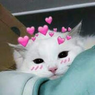 cute pussy